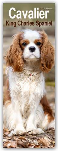 Avonside Publishing Ltd: Cavalier King Charles Spaniels 2025