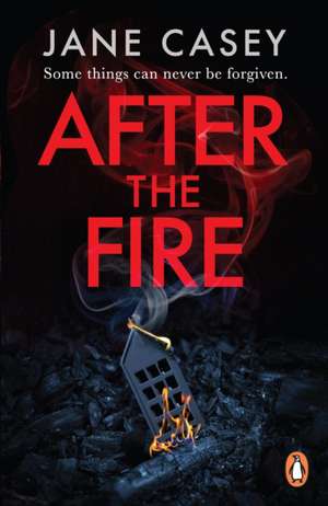 After the Fire de Jane Casey