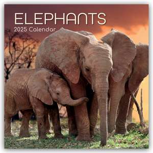 Elephants - Elefanten 2025 - 16-Monatskalender de The Gifted