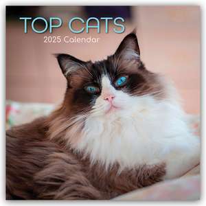 Top Cats - Top-Katzen 2025 - 16-Monatskalender de Gifted Stationery Co. Ltd