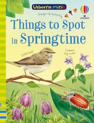 Things to Spot in Springtime de Kate Nolan