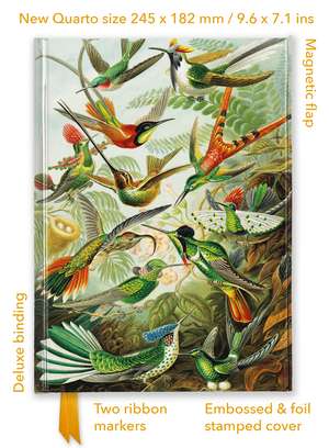 Ernst Haeckel: Hummingbirds (Foiled Quarto Journal) de Flame Tree Studio