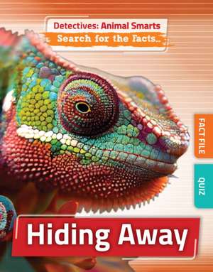 Hiding Away de Anne O'Daly
