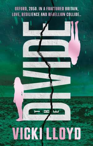 The Divide de Vicki Lloyd