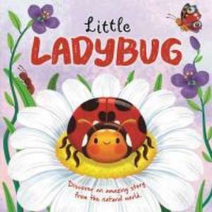 Nature Stories: Little Ladybug Discover an Amazing Story from the Natural World de Igloobooks