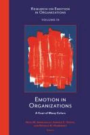 Emotion in Organizations – A Coat of Many Colors de Neal M. Ashkanasy