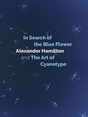 In Search of the Blue Flower de Alexander Hamilton