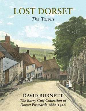 Lost Dorset de David Burnett