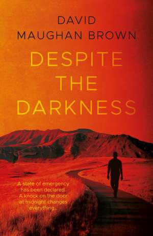 Despite the Darkness de David Maughan Brown