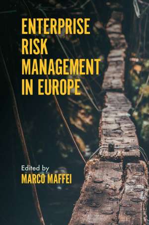 Enterprise Risk Management in Europe de Marco Maffei