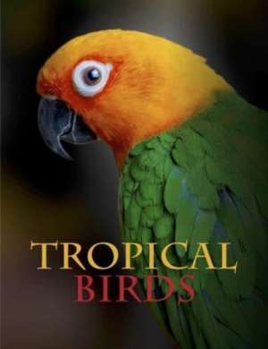 Tropical Birds de Tom Jackson