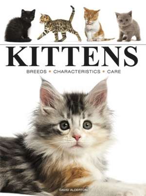 Kittens de David Alderton