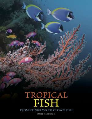 Tropical Fish de David Alderton