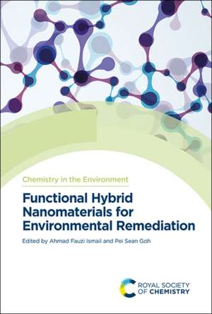 Functional Hybrid Nanomaterials for Environmental Remediation de Ahmad Fauzi Ismail