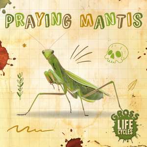 Praying Mantis de William Anthony