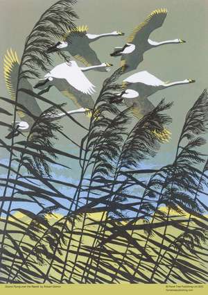 Adult Jigsaw Puzzle Robert Gillmor: Swans Flying over the Reeds (500 pieces): 500-Piece Jigsaw Puzzles de Flame Tree Studio