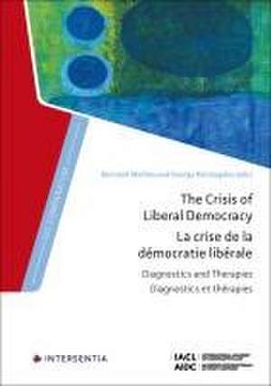 The Crisis of Liberal Democracy de Bertrand Mathieu