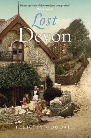 Lost Devon de Felicity Goodall