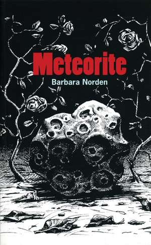 Meteorite de Barbara Norden