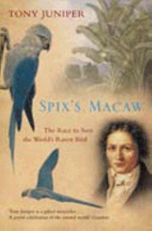 Spix's Macaw de Tony Juniper