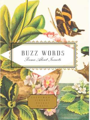 Buzz Words de Howard Schechter