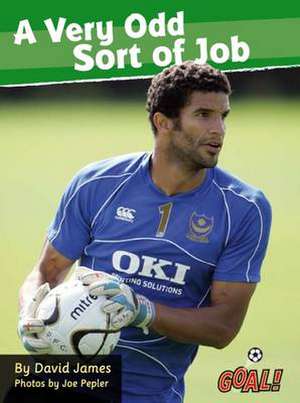 A Very Odd Sort of Job de David James