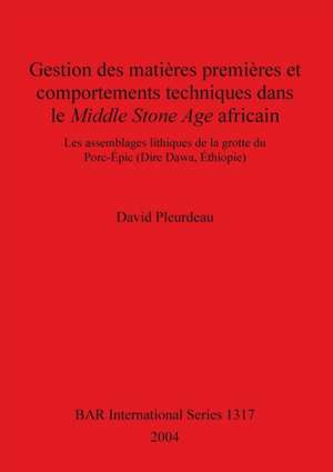 Gestion des matières premières et comportements techniques dans le Middle Stone Age africain de David Pleurdeau