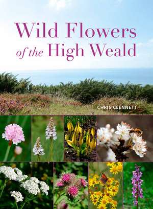 Wild Flowers of the High Weald de Chris Clennett