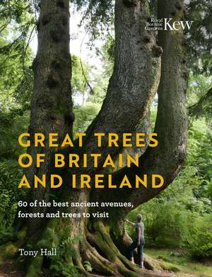 Great Trees of Britain and Ireland: 60 of the Best Ancient Avenues, Forests and Trees to Visit de Tony Hall