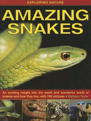 Exploring Nature: An Exciting Insight Into the Weird and Wonderful World of Snakes and How They Live, with 190 Pictures de Barbara Taylor