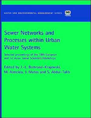 Sewer Networks and Processes Within Urban Water Systems de Maria Almeida