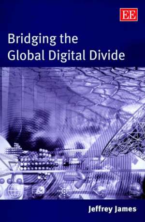 Bridging the Global Digital Divide de Jeffrey James