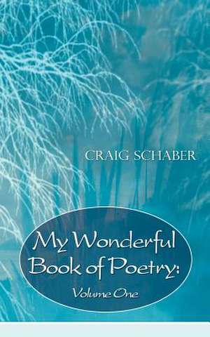 My Wonderful Book of Poetry de Craig Schaber