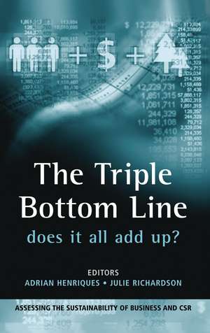 The Triple Bottom Line: Does It All Add Up de Adrian Henriques