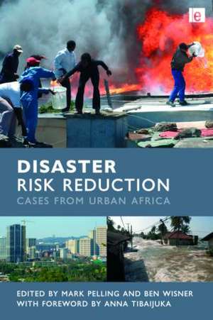 Disaster Risk Reduction: Cases from Urban Africa de Mark Pelling