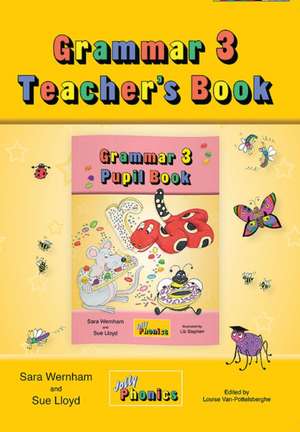 Grammar 3 Teacher's Book de Sara Wernham