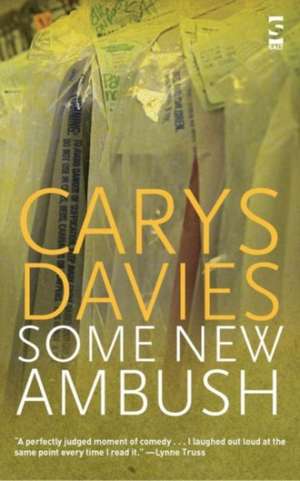 Some New Ambush de Carys Davies