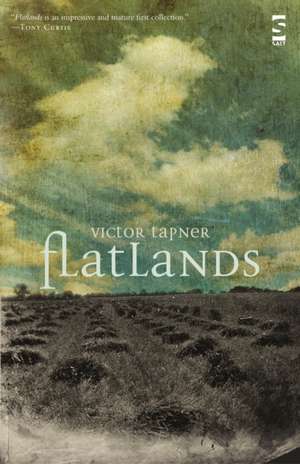 Flatlands de Victor Tapner