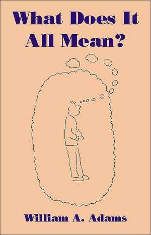 What Does It All Mean?: A Humanistic Account of Human Experience de William A. Adams