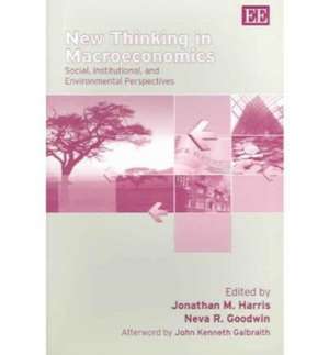 New Thinking in Macroeconomics – Social, Institutional, and Environmental Perspectives de Jonathan M. Harris