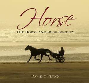 Horse: The Horse and Irish Society de David O'Flynn