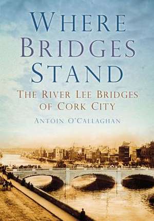 Where Bridges Stand: The River Lee Bridges of Cork City de Antaoin O'Callaghan