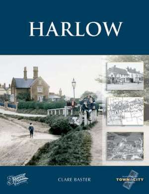 Harlow de Clare Baster