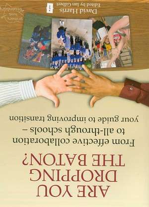 Are You Dropping the Baton?: From Effective Collaboration to All-Through Schools - Your Guide to Improving Transition de David Harris