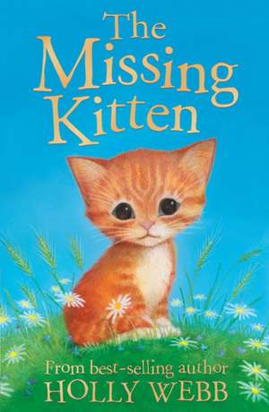 The Missing Kitten de Holly Webb