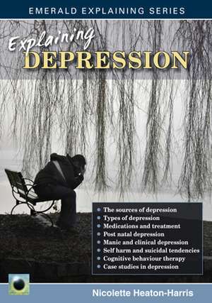 Explaining Depression de Nicolette Heaton-Harris