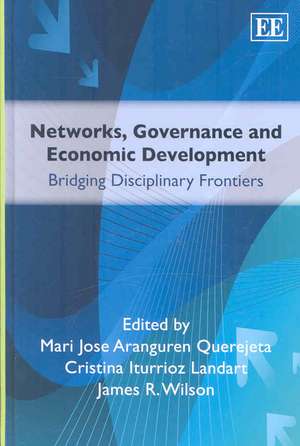 Networks, Governance and Economic Development – Bridging Disciplinary Frontiers de Mari Jose Aranguren Quere