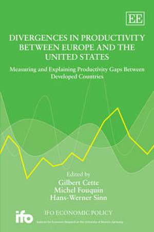 Divergences in Productivity Between Europe and t – Measuring and Explaining Productivity Gaps Between Developed Countries de Gilbert Cette