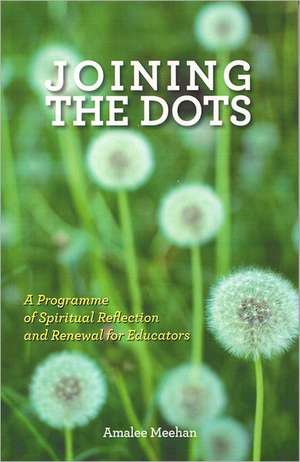 Joining the Dots: A Programme of Spiritual Reflection and Renewal for Educators de Amalee Meehan