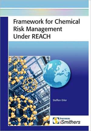 Framework for Chemical Risk Management Under Reach: Materials, Processing and Applications de Steffen Erler